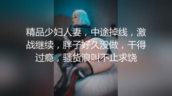 精品少妇人妻，中途掉线，激战继续，胖子好久没做，干得过瘾，骚货浪叫不止求饶