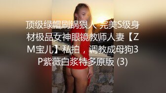 极品反差露脸少女母狗！P站火爆崇洋媚外留学生嫩妹年纪轻轻被调教成性奴②，可盐可甜各种装嫩制服含着奶嘴被肏 (3)