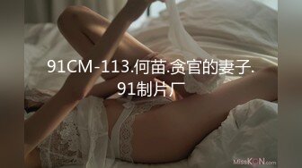 91CM-113.何苗.贪官的妻子.91制片厂