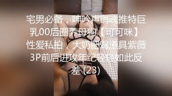 一颗甜蛋黄a 家教老师主题 典雅制服与魅惑内衣的双重妩媚