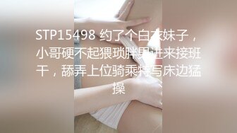 各种玩母狗骚逼到喷水狠狠操他淫叫高潮