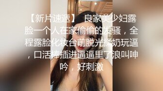 19歲小貓 第2Q 寵物美容師 好耐冇見,越大越靚女,越大越好砌