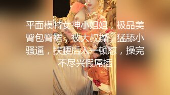  经典3P场双倍价格约168CM美女，两男一女激情爆操，撩起包臀裙前后夹击