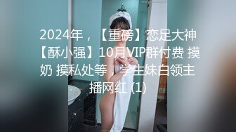 2024年，【重磅】恋足大神【酥小强】10月VIP群付费 摸奶 摸私处等，学生妹白领主播网红 (1)