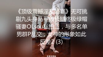 《顶级震撼淫乱盛宴》无可挑剔九头身马甲线长腿终极绿帽骚妻OLsou私拍二，与多名单男群P乱交，女神的形象如此反差2 (3)