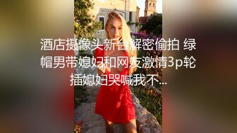 （补验证）正面插黑网袜情趣老婆