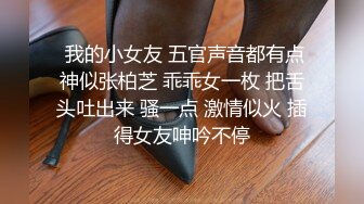 眼镜哥老婆回娘家生小孩周末约单位财务科的性感少妇回家玩无套内射她