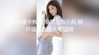 突袭AV女优艾秋性爱小游戏作不停