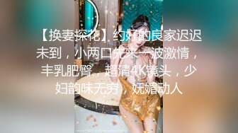 OnlyFans~混血内衣模特【ploytigerstam】23年订阅合集~亚裔极品身材~美乳情趣丝袜~大尺度私拍【495V】 (419)