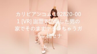 カリビアンコム 102820-001 [VR] 謝罪で訪問した男の家でそのままヤラレちゃうガール 楠セナ