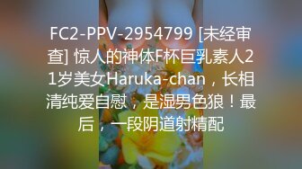 FC2-PPV-2954799 [未经审查] 惊人的神体F杯巨乳素人21岁美女Haruka-chan，长相清纯爱自慰，是湿男色狼！最后，一段阴道射精配