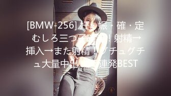 [BMW-256] 妊・娠・確・定 むしろ三つ子確定！射精→挿入→また射精！グチュグチュ大量中出し30連発BEST