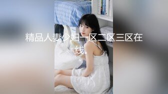 精品人妻少妇一区二区三区在线。