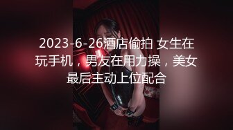 【Z先生】聚会认识的豪放东北女人叫床都很搞笑