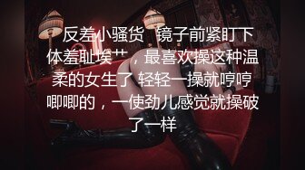 【重磅核弹】秀人网巨乳网红 朱可儿 520元圣诞特别篇VIP福利 (3)