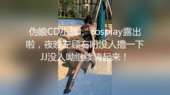 伪娘CD小舞， cosplay露出啦，夜晚左顾右盼没人撸一下JJ没人呦继续嗨起来！