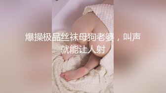 爆操极品丝袜母狗老婆，叫声就能让人射