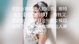 你的女神有钱人的母狗，推特金主【优雅金领S】，有钱又会玩女，各种拜金外围女模臣服屌下，露出调教啪啪让人羡慕 (2)