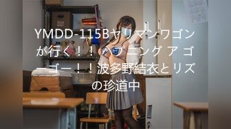 YMDD-115Bヤリマンワゴンが行く！！ ハプニング ア ゴーゴー！！波多野結衣とリズの珍道中