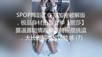 SPOP舞蹈工作室加密破解版，极品身材白皙女神【丽莎】露逼露奶情趣装顶胯摇摆挑逗，大长腿阴毛超级性感 (7)