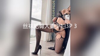 丝袜肥臀人妻少妇3P 3