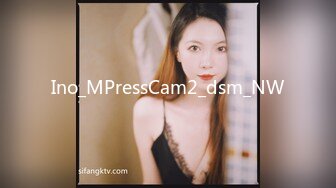 Ino_MPressCam2_dsm_NW