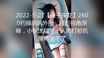 2022-5-27【锤子探花】2600约操高端外围，超近视角深喉，小伙太猛了，人肉打桩机搞得受不了