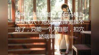 怀孕ＯＫ的美少女女仆