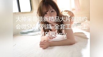 大神呆哥最新精品大片高端约会微SM系列篇-全套工具齐上SM车模amy