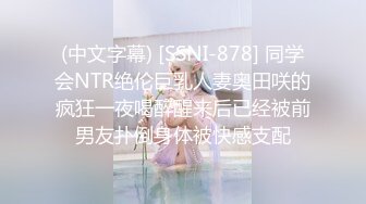 (中文字幕) [SSNI-878] 同学会NTR绝伦巨乳人妻奥田咲的疯狂一夜喝醉醒来后已经被前男友扑倒身体被快感支配