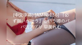 (中文字幕) [AMBI-136] 「必ず願いが叶う」という噂のパパ活アプリ 早美れむ