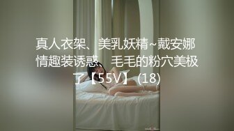 秀人网骚模 【艾希儿】超美女神 大尺度唯美露三点写真+视频