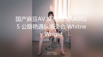 国产麻豆AV 麻豆US LAA0025 公路艳遇纵情交合 Whitney Wright