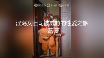 淫荡女上司被威胁的性爱之旅-薇薇