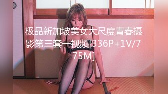 极品新加坡美女大尺度青春摄影第三套一视频[336P+1V/775M]