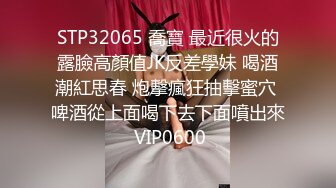 TWTP 游乐场女厕全景偷拍几个撅着屁股嘘嘘的高颜值美女3