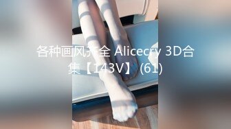 各种画风齐全 Alicecry 3D合集【143V】 (61)