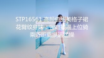 STP16561 高颜值甜美格子裙花臂纹身妹，舌吻摸逼上位骑乘近距离摸逼猛操