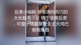  反差小母狗 外表清纯乖巧的大长腿美少女 私下非常反差，可爱小情趣装被金主大鸡巴爸爸爆插