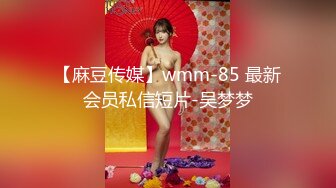 【麻豆传媒】wmm-85 最新会员私信短片-吴梦梦