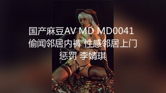 国产麻豆AV MD MD0041 偷闻邻居内裤 性感邻居上门惩罚 李婧琪