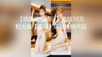 【核级绝版精品】推特30万粉大佬【蔷薇】极品投稿作品全