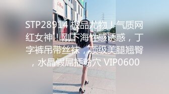 STP28914 极品尤物！气质网红女神！刚下海性感诱惑，丁字裤吊带丝袜，顶级美腿翘臀，水晶假屌插粉穴 VIP0600