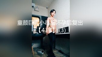 童颜巨乳小毒甜怀孕后复出 【43V】 (3)