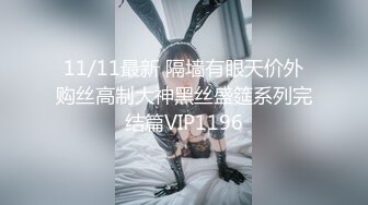 11/11最新 隔墙有眼天价外购丝高制大神黑丝盛筵系列完结篇VIP1196