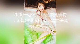 2000一小时，极品美乳模特，坚挺白嫩大白兔，黑丝美腿好诱惑 (1)