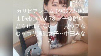 カリビアンコム 090222-001 Debut Vol.78 ～一度脱いだら止まらない！一見ウブなむっつり清純女子～中田みなみ