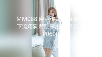 MM088 麻豆传媒 无套系列 下流母狗羞耻露出 吴梦梦 VIP0600