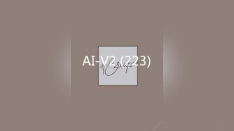 AI-V2 (223)