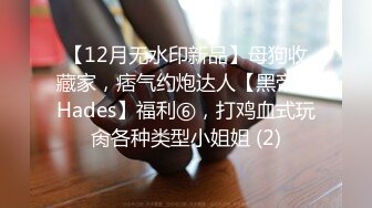 【12月无水印新品】母狗收藏家，痞气约炮达人【黑帝斯Hades】福利⑥，打鸡血式玩肏各种类型小姐姐 (2)